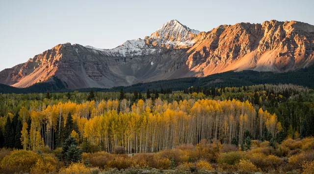 Golden peaks above an autumn aspen grove