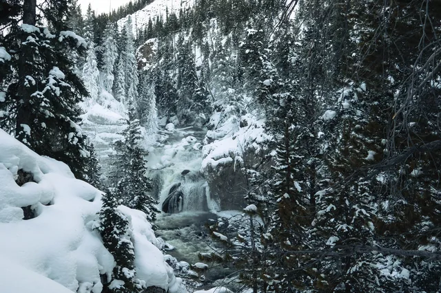 Waterfall in a snow-covered forest