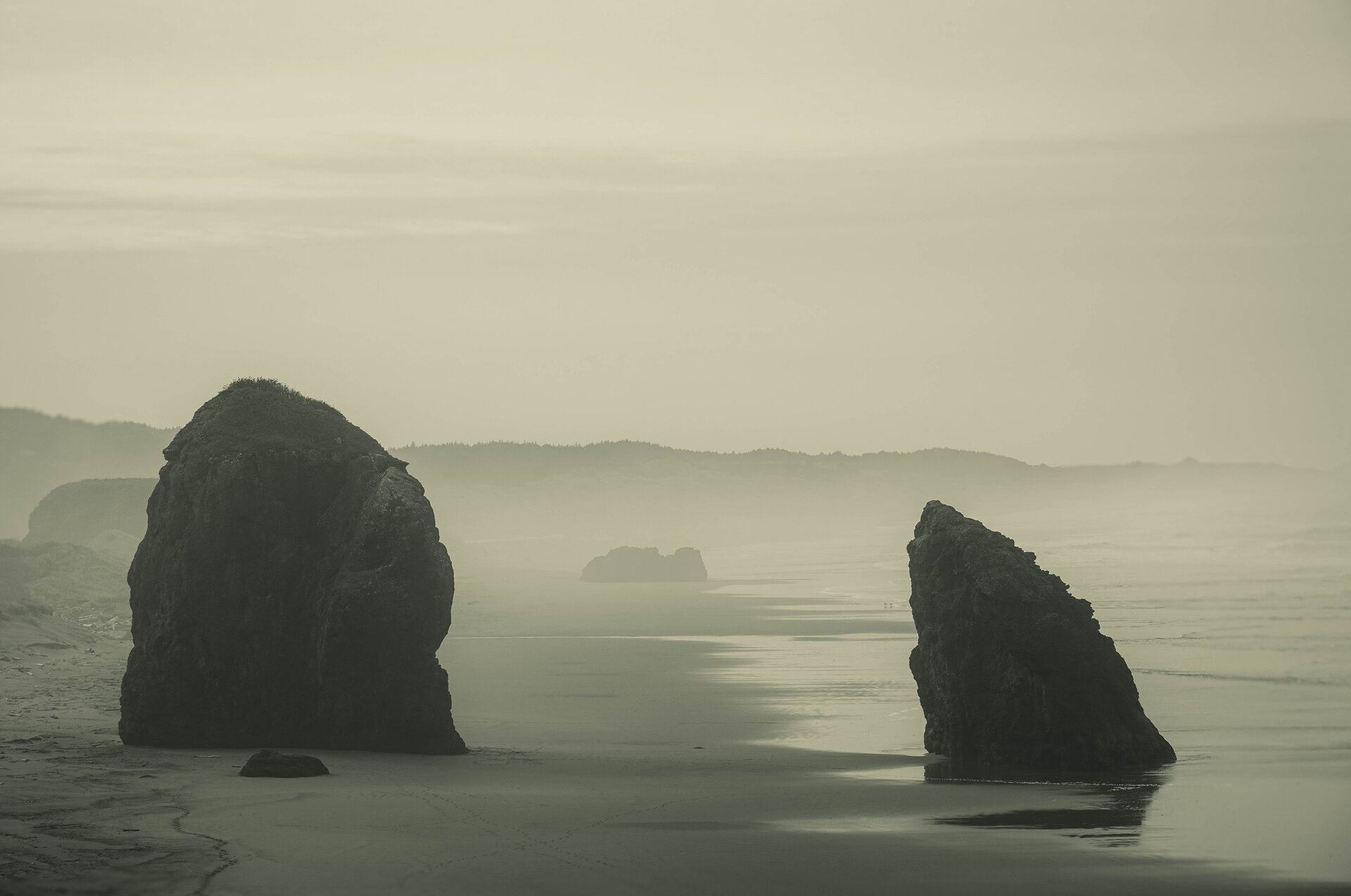Oregon Coast